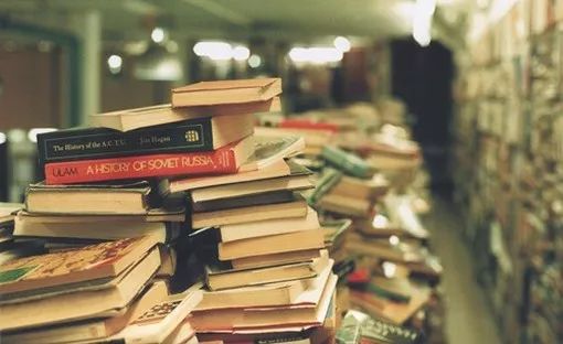 5星創新陷阱 給國內寵物食品醫療創業公司潑點冷水