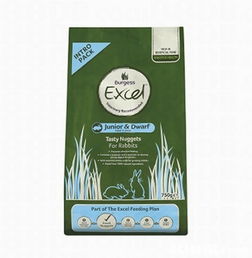 寵物的理想之家 探索pet cafe的多元化寵物服務